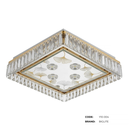 BIGLITE Low Ceiling Lights