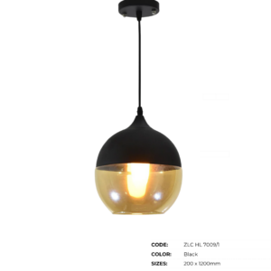 ZLC Hanging Lamps | Pendant Lights - Image 50