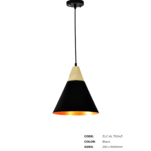 ZLC Hanging Lamps | Pendant Lights - Image 56