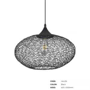 ZLC Hanging Lamps | Pendant Lights - Image 90