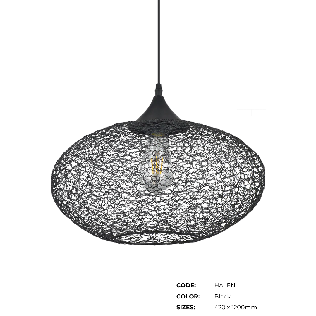 ZLC Hanging Lamps | Pendant Lights - Image 90